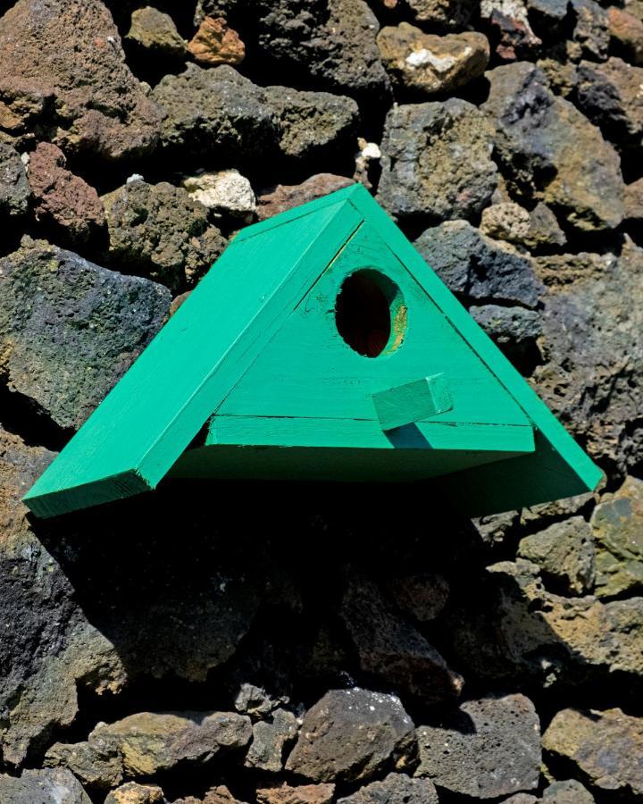 Parrots'Village Rabo de Peixe Exterior foto
