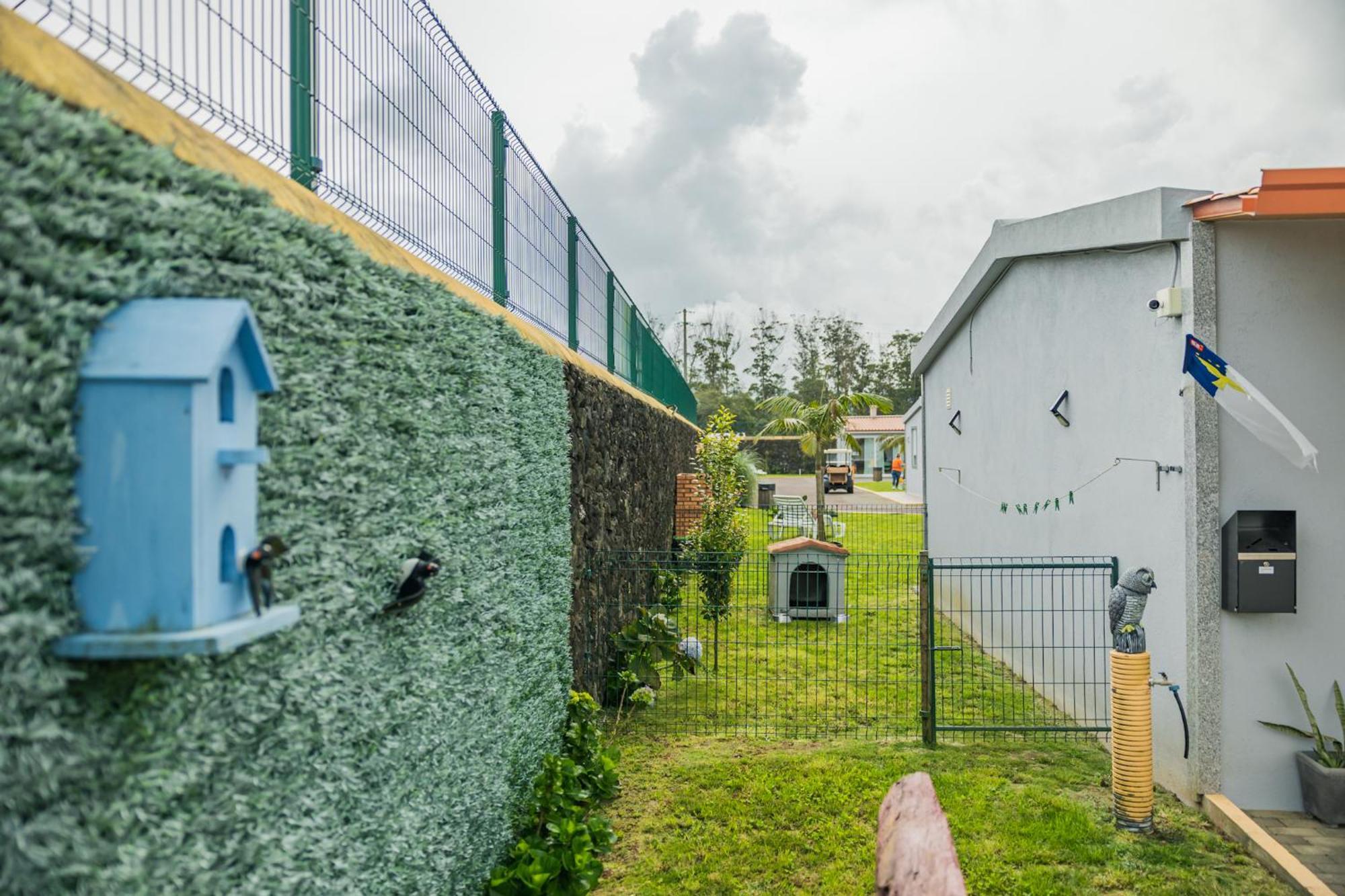 Parrots'Village Rabo de Peixe Exterior foto
