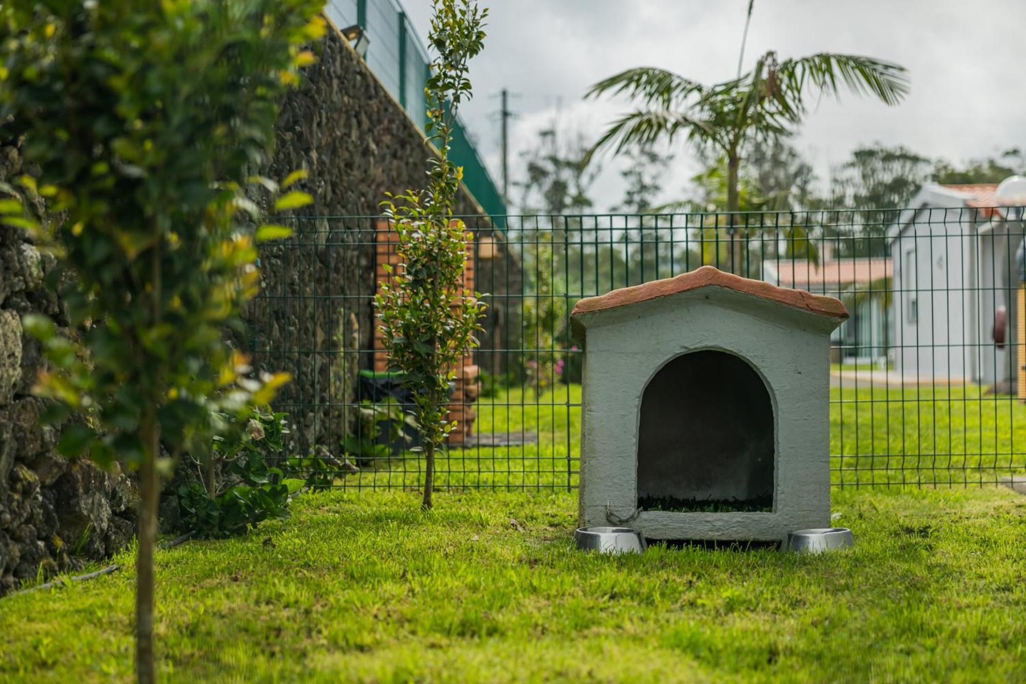 Parrots'Village Rabo de Peixe Exterior foto